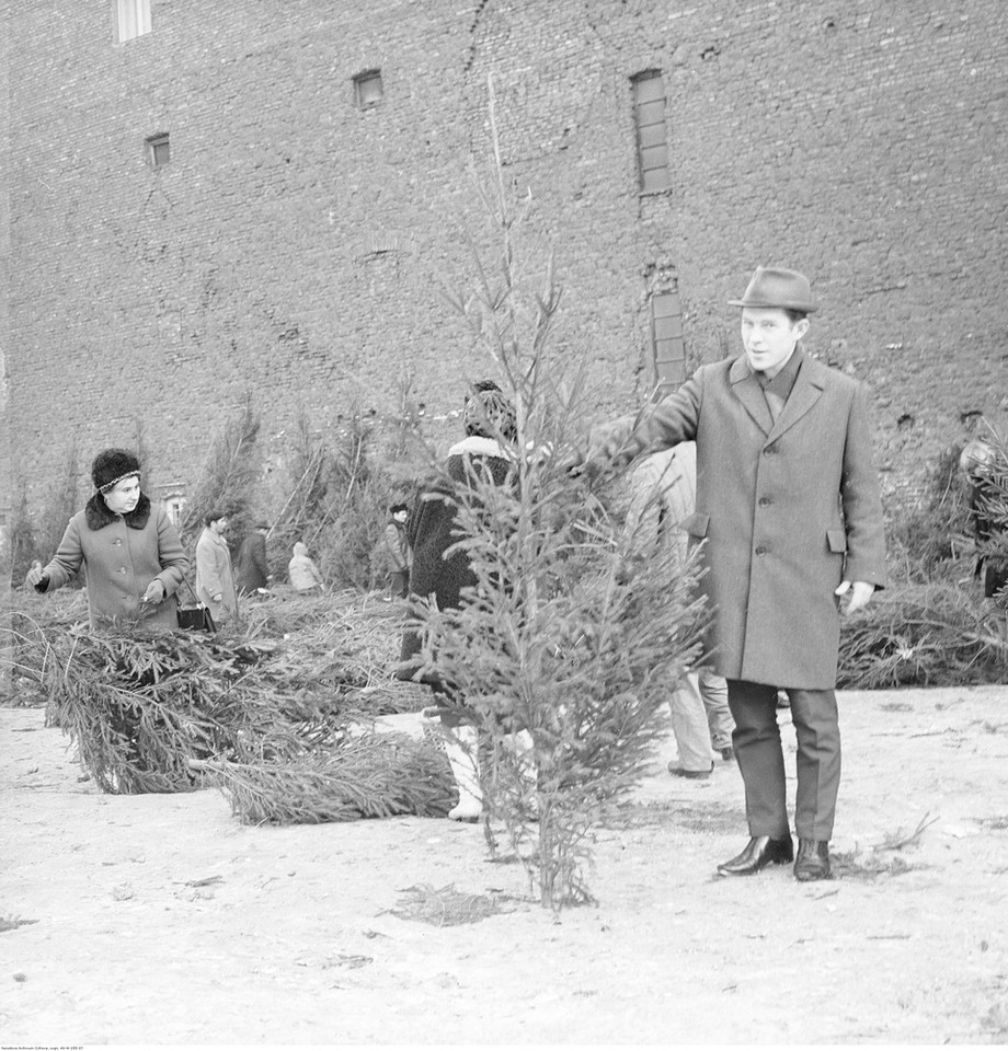 Sprzedaż choinek w Warszawie. W tle ślepa ściana kamienicy przy ul. Grzybowskiej 24 (1967 r.)