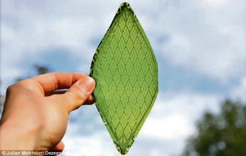 Veštački list foto: Printskrin Vimeo/Dezeen mini frontiers