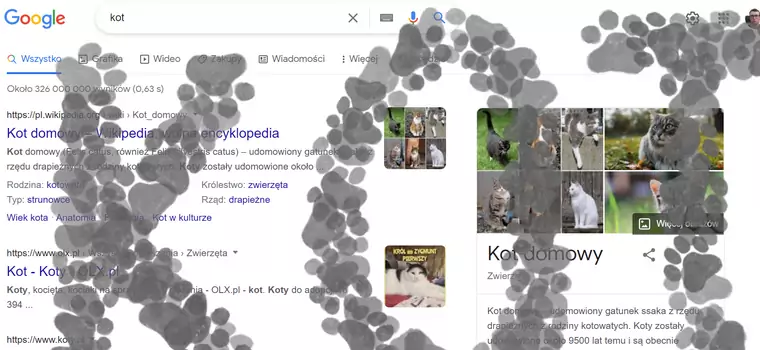 Urocza niespodzianka od Google hitem internetu. Wystarczy wpisać jedno słowo