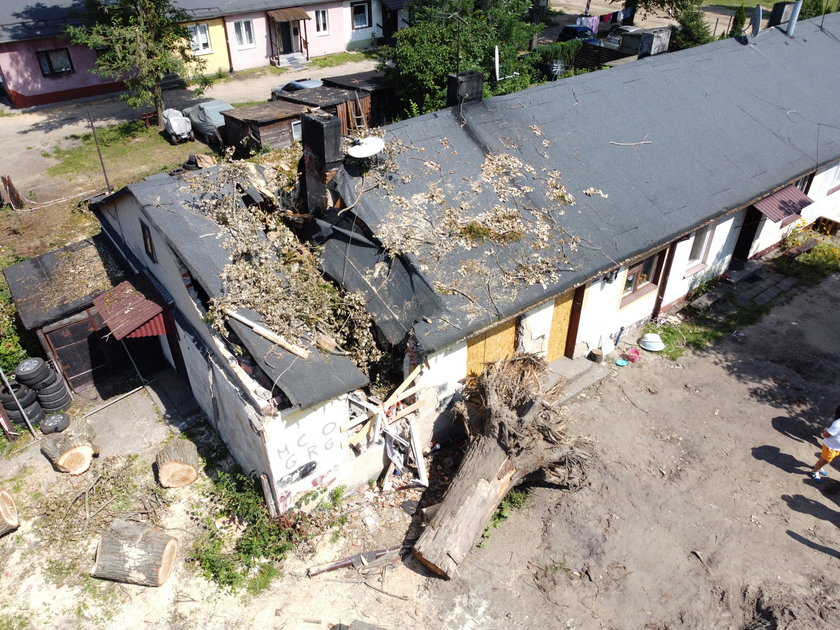Dramat rodziny z ulicy Przylesie w Łodzi. Drzewo przygniotło dom w czasie nawałnicy