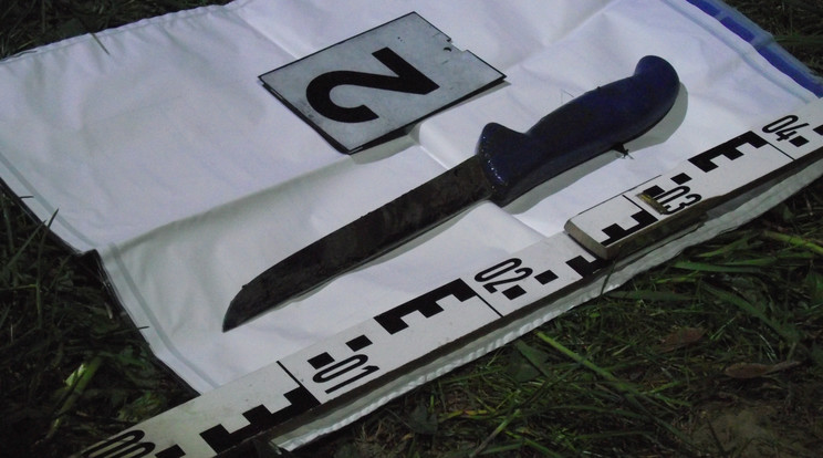 A rendőrség egy tóban megtalálta a kést, amelyikkel ölt a fiatalember /Fotó: police.hu