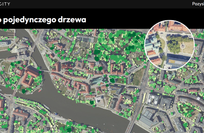Zrobili wielką lotniczą inwentaryzację drzew