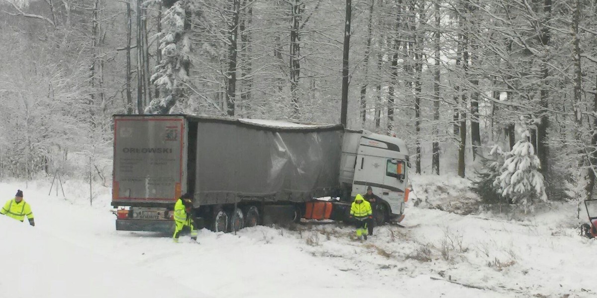 Tir wjechał do lasu