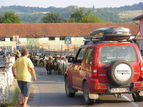 Wyprawa członków Klubu Suzuki