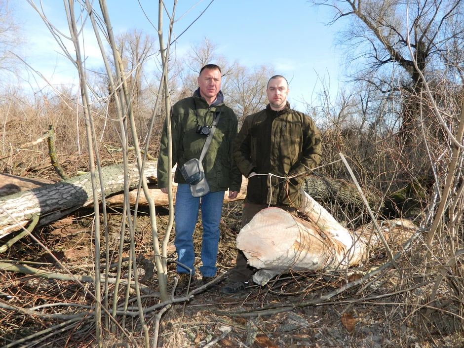 Nandor Baranji i Žolt Č. Molnar: Posečena stoletna stabla