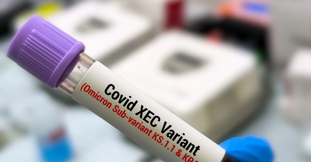 COVID-19 nie daje o sobie zapomnieć. Lekarka ostrzega: Nie oszczędza nikogo