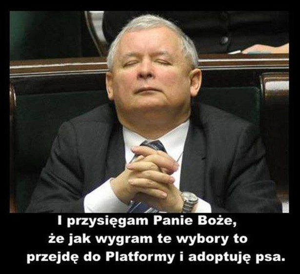 Prezes Kaczyński musi być bardzo zdeterminowany żeby wygrać te wybory.