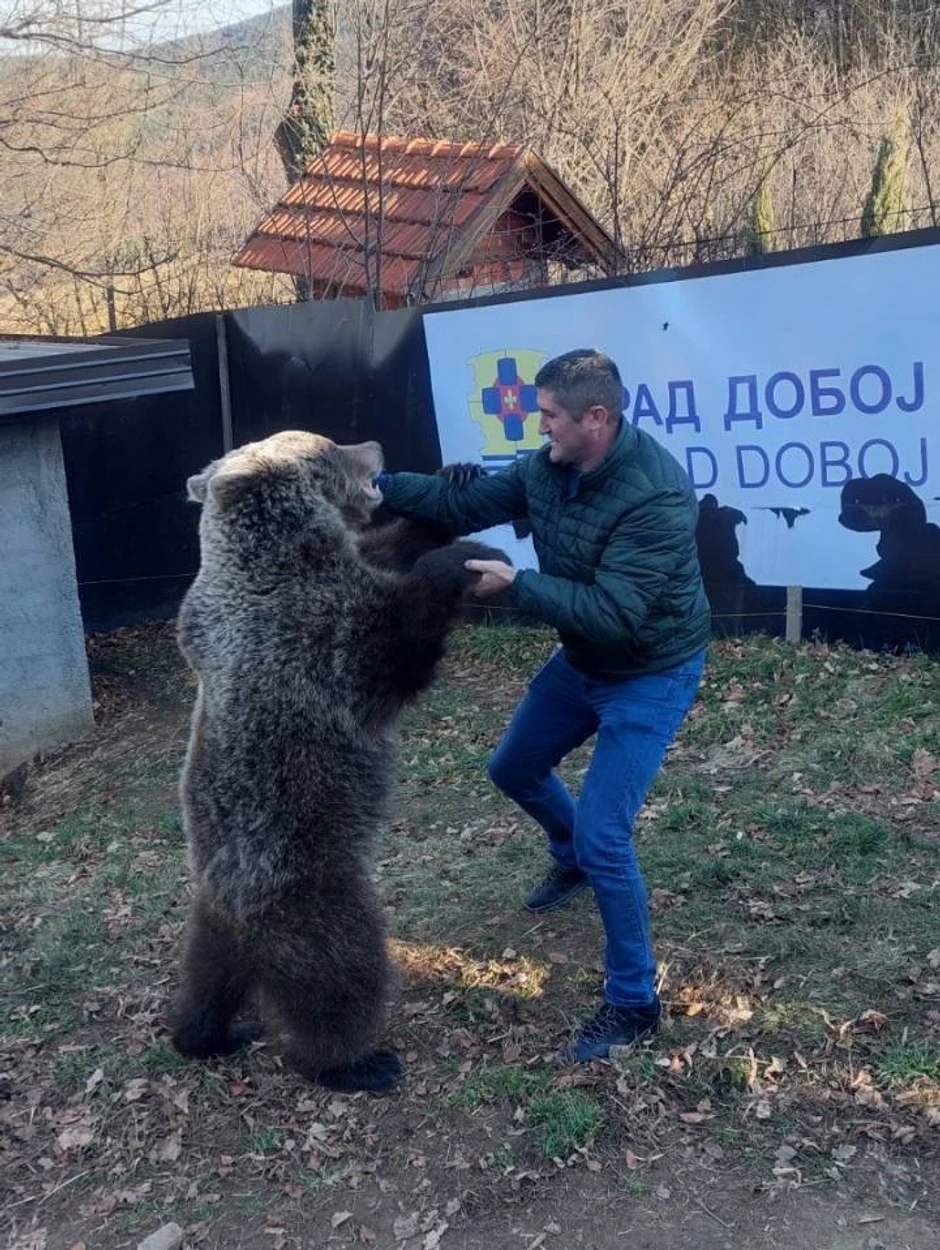 Medvedice uživaju u igri sa ljudima