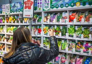 Ovo je zvanično najzdravije povrće na svetu, 150 dinara košta seme za uzgajanje