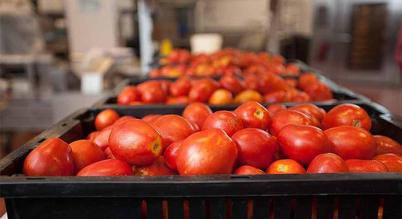 Tomatoes sold in a Ghanaian markets