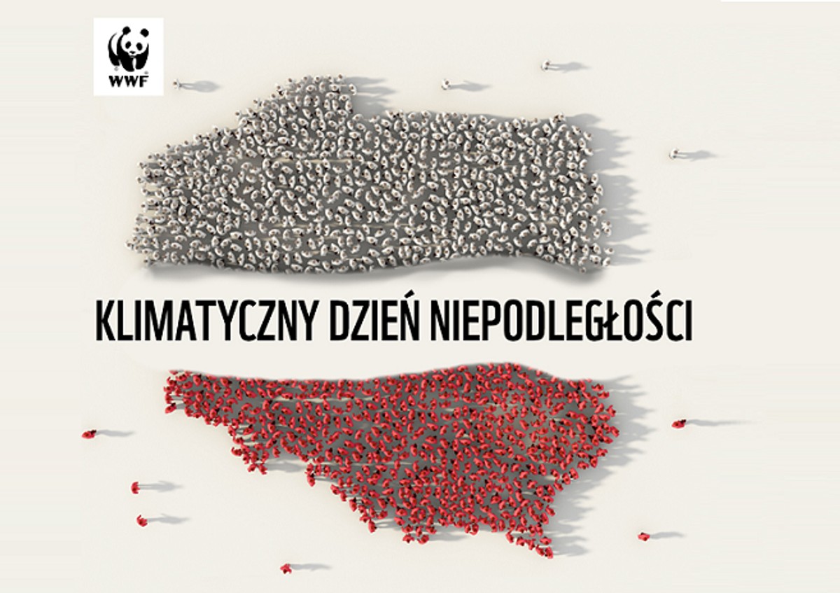 Krajowy Plan Odbudowy i Zwiększania Odporności (KPO) – propozycja WWF Polska na naszą niepodległość klimatyczną