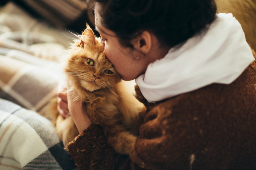 Koty mogą przenosić szereg niebezpiecznych chorób odzwierzęcych / fot. Getty Images