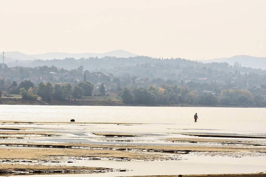 Novi Sad - nizak vodostaj Dunava prethodnih godina