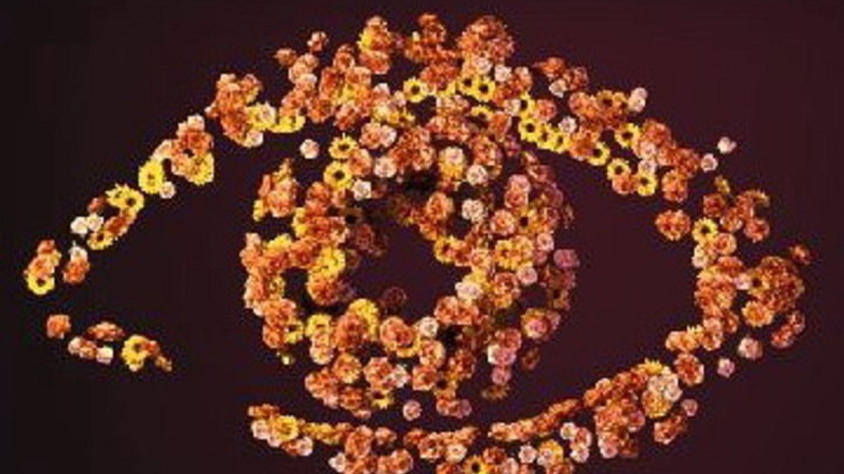 328179_velikibrat4logo