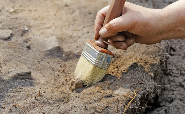 Archeolog podczas wykopalisk