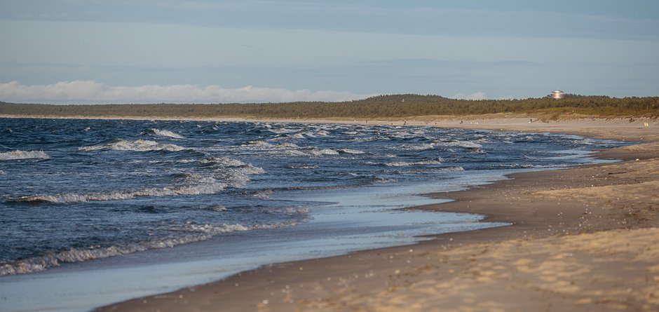 Plaża na Wyspie Sobieszewskiej 