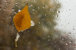 w tych rejonach będzie padać! prognoza pogody na środę, 12 listopada