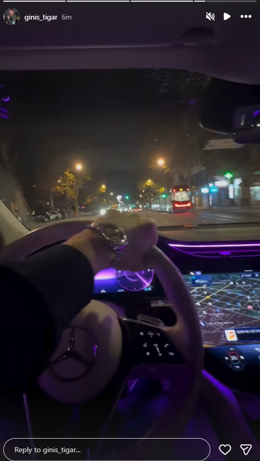 Tigar se vozi u luksuznom automobilu