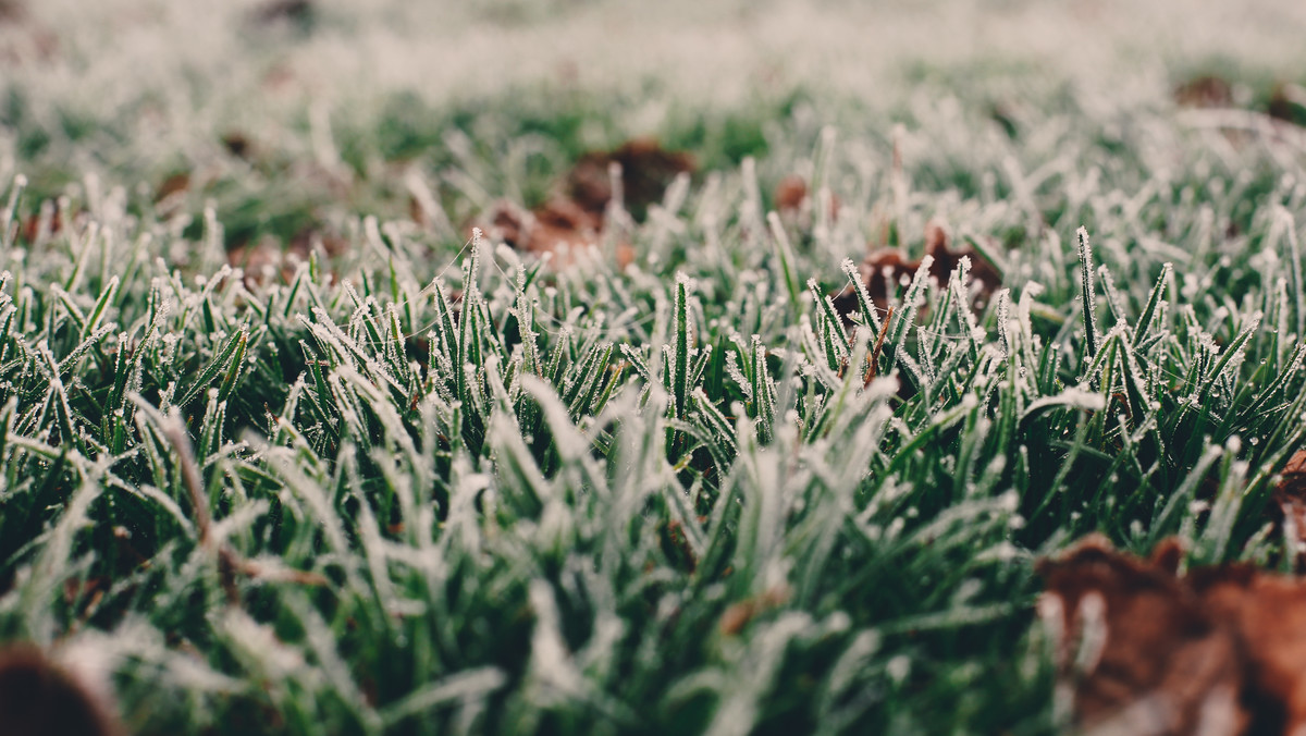 Instytut Meteorologii i Gospodarki Wodnej ostrzega przed nocnymi przymrozkami w północnej części kraju. Na tych terenach temperatura powietrza spadnie przy gruncie lokalnie nawet do - 5 stopni Celsjusza.