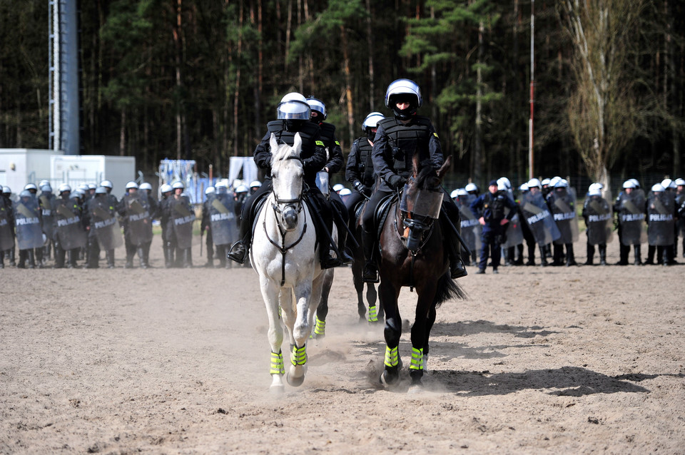 SZCZECIN KONIE W POLICJI TESTY (sprawdzian koni)