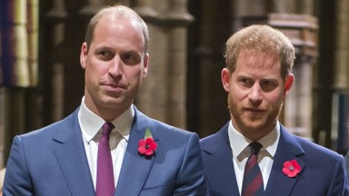 William i Harry odłożyli na bok spór, by oddać hołd matce. Efekt ich współpracy zostanie pokazany światu 1 lipca br.