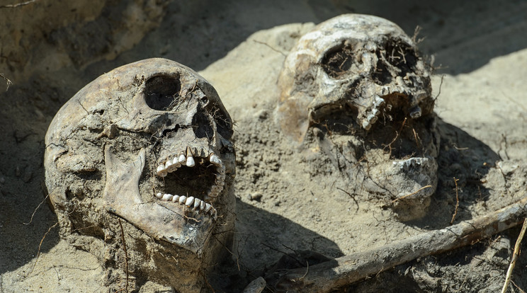 Emberi maradványok kerültek elő egy ásatás során Kelet-Lengyelországban június 21-én. 
 /Fotó: MTI