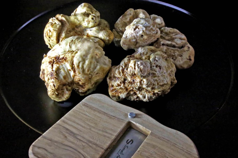 Italy, Alba: White truffles