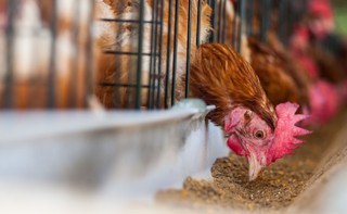 Rozpoczęcie prac nad planem miejscowym nie wstrzymuje wydania decyzji środowiskowej