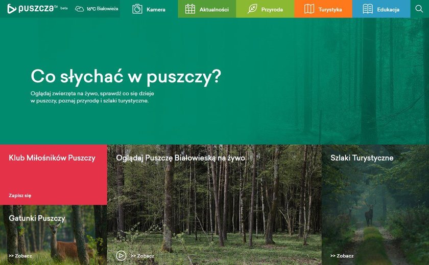 Puszcza.tv