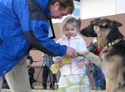 Tak pies bohater uratował pana z pożaru