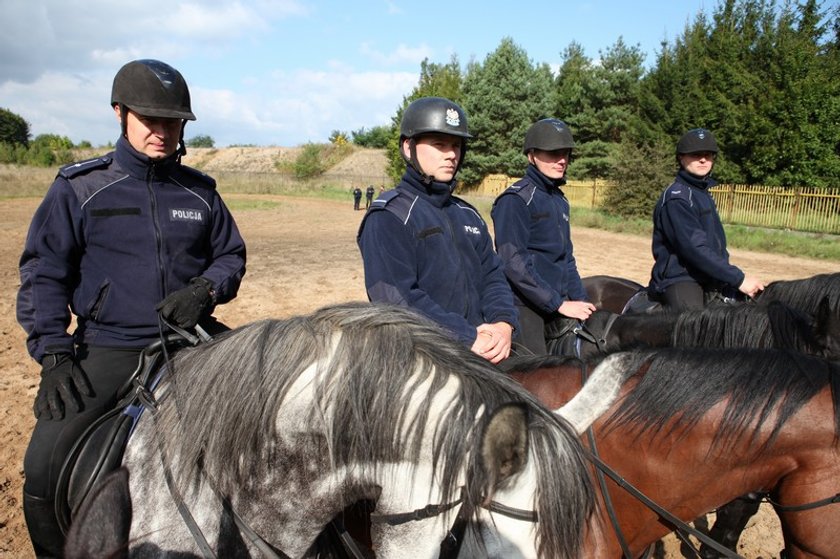 Policja konna w Poznaniu