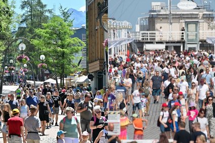 Moda na Polskę. W Czechach statystyki wystrzeliły, ale dostrzegają nas i za oceanem