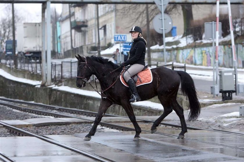 Wszędzie jeżdżę konno!