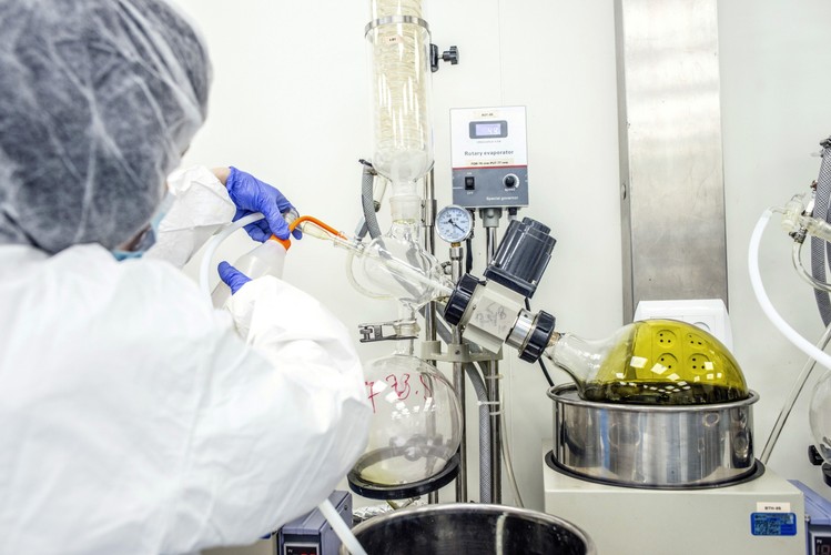 PRODUKCJA MEDYCZNEJ MARIHUANY W IZRAELU