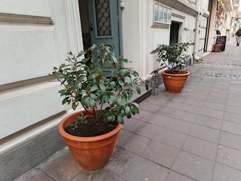 Slikano Tecno telefonom