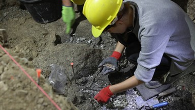 Archeolodzy odkryli ślady osadnictwa prehistorycznego w Tatrach