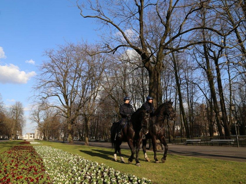 Za co dostaniesz mandat? Policja wyjaśnia