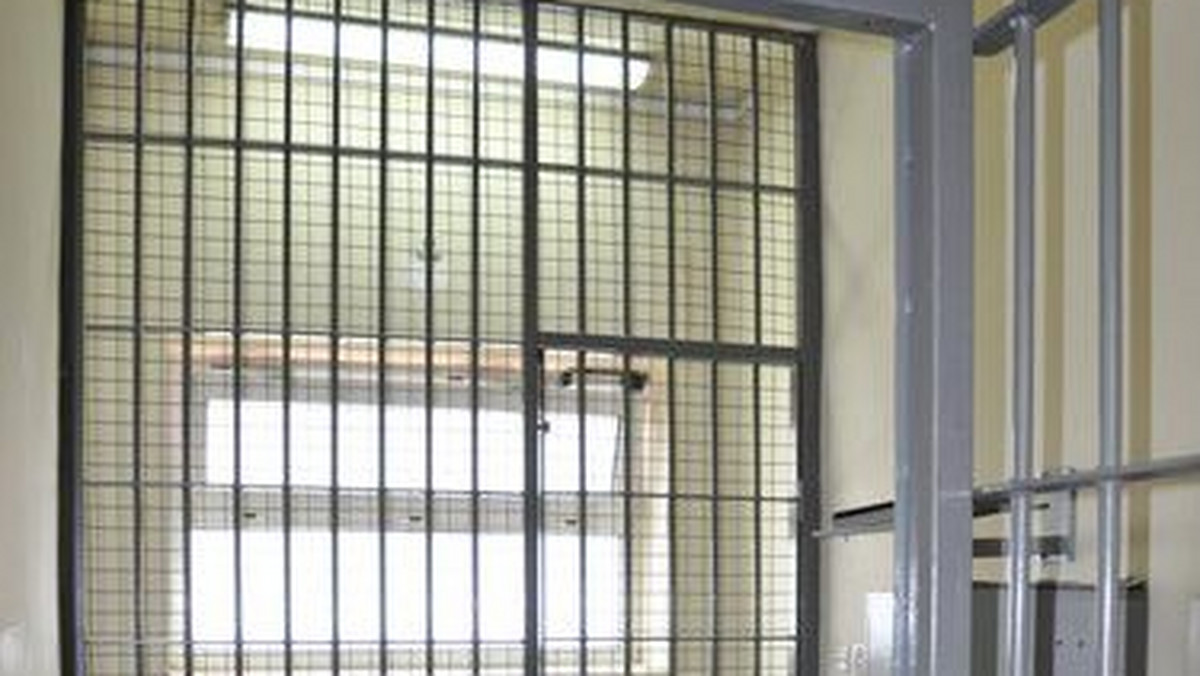 Wielka Brytania wydaje ponad 35 mln funtów m.in. na polskich więźniów, którzy powinni odsiadywać karę w swoim kraju, jednak nie ma dla nich tam miejsca – donosi "Daily Mail".