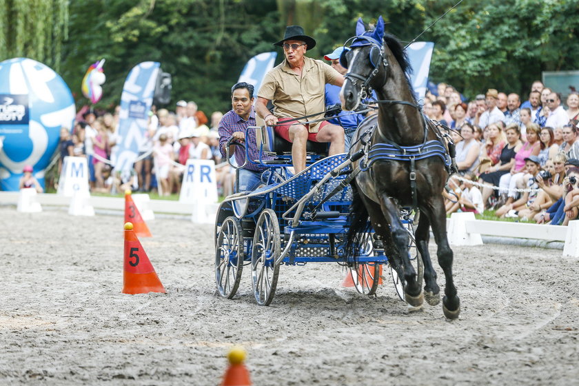 XXII Jeździeckie Mistrzostwa Gwiazd - Art Cup w Zakrzowie