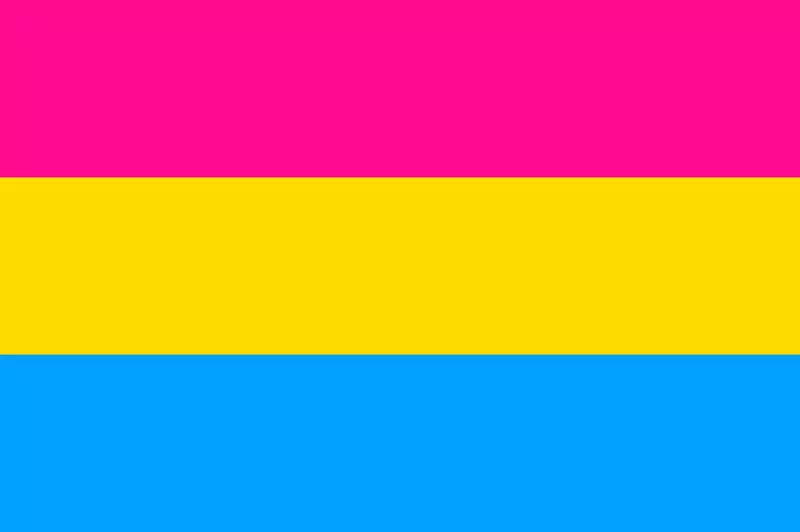 Flaga osób panseksualnych / Getty Images / Anastaiia_M