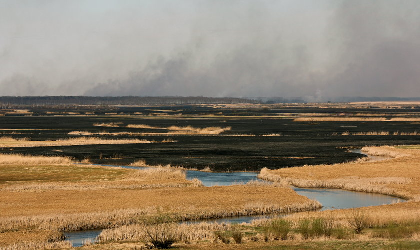 Pożar w Biebrzańskim Parku Narodowym