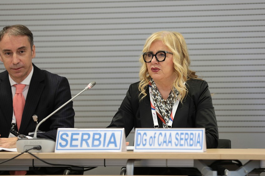 Direktorka Mirjana Čizmarov na otvaranju sastanka