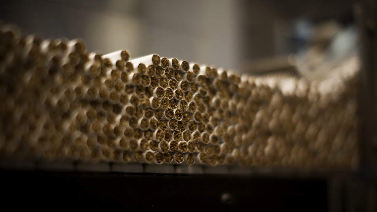 Sierpc: zlikwidowano nielegalną fabrykę tytoniu