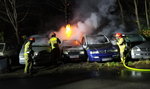 Dramat fundacji pomagającej dzieciom z białaczką. Samochody stanęły w płomieniach. "To było podpalenie"