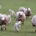 Ogromny spadek obrotów na GPW. Inwestorzy uciekają w popłochu