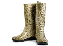 Ja noszę kalosze, ty nosisz kalosisz...