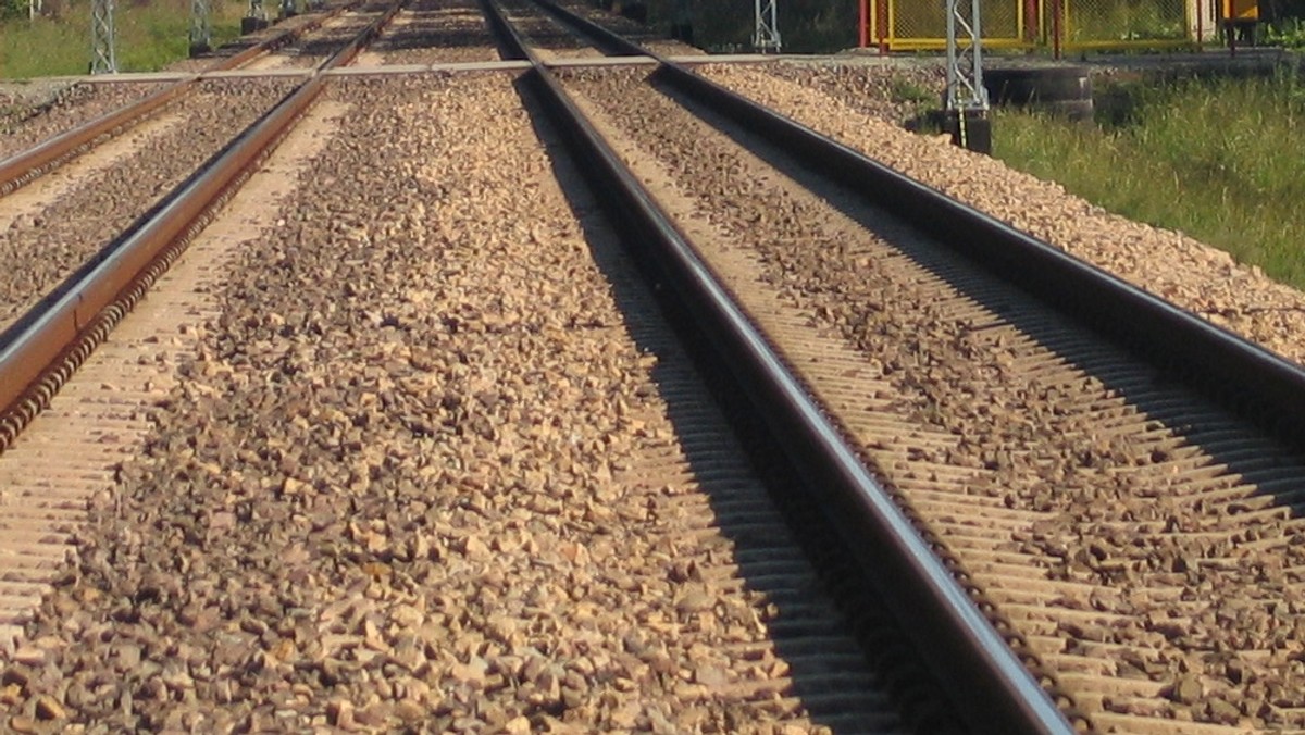 500 metrów linii nośnej kolejowej sieci trakcyjnej i dwa razy tyle drutu jezdnego skradziono w nocy z wtorku na środę między Kozłowem a Starzynami na szlaku Warszawa-Kraków. Ruch pociągów odbywa się po jednym torze, są opóźnienia.