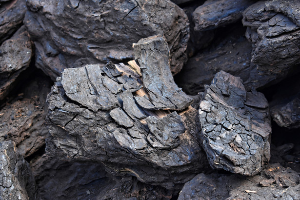 Niemieccy aktywiści klimatyczni blokują uruchomienie kopalni węgla bruntatnego