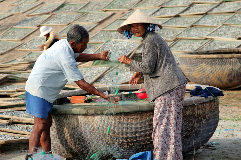 Produkcja sosu rybnego (nuoc mam) w Wietnamie