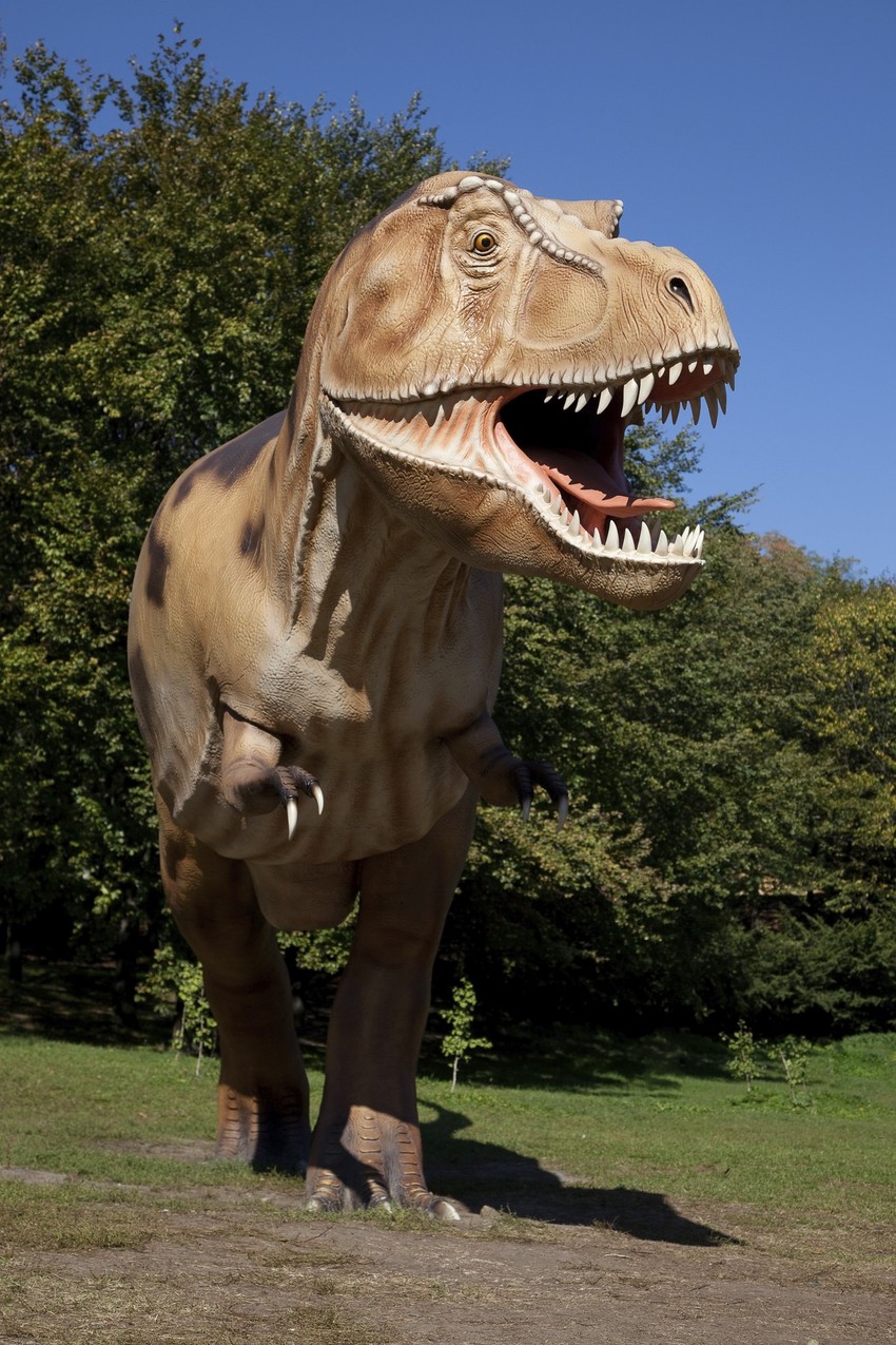 Tiranosaurus reks